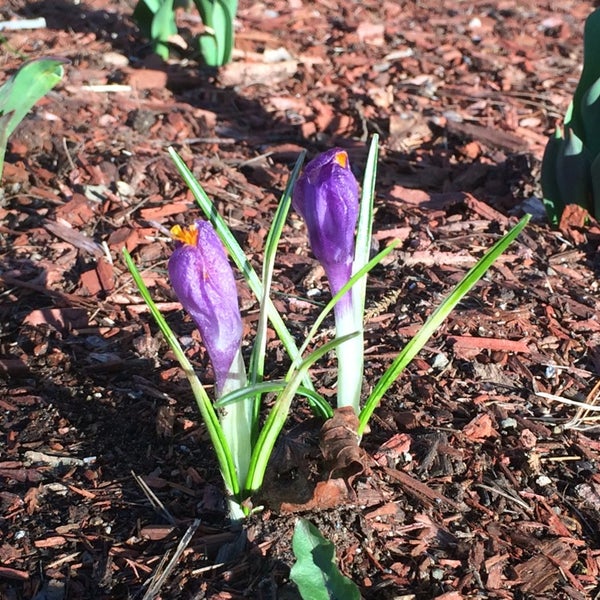 Potter Road School College and University