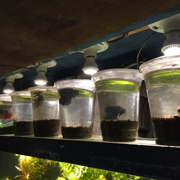 Ocean aquarium clearance store