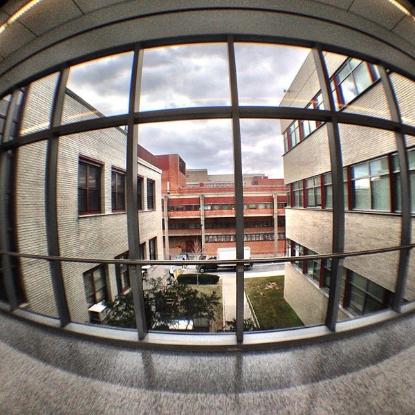 Remsen Hall Flushing, NY