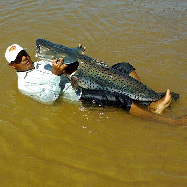 Foto diambil di Pousada Barra Do Aricá oleh Jeck M. pada 10/23/2014