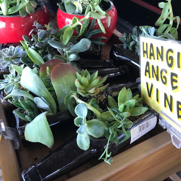 Trader Joe's Huntington Beach'da Market