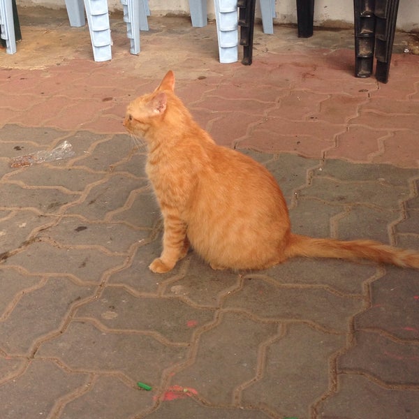 Photos at Rumah Kebajikan Anak Yatim u0026 Fakir Miskin, Permata Al