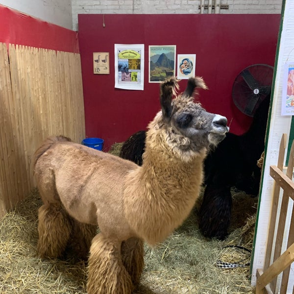 Farm-A-Rama - 1111 Elm St Ste 17C