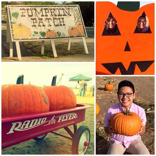 Photos At Mountain Valley Ranch Pumpkin Patch Farm