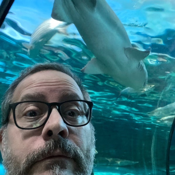 Foto tomada en Ripley&#39;s Aquarium  por James B. el 12/28/2019