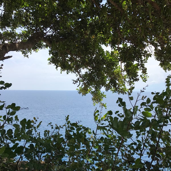 photos at bogazkoy balikevi varlik mah teomanpasa cad