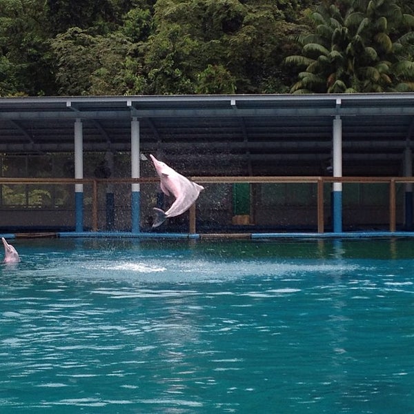 2/15/2013 tarihinde Colleen Z.ziyaretçi tarafından Underwater World And Dolphin Lagoon'de çekilen fotoğraf