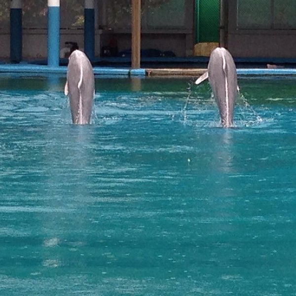 Photo taken at Underwater World And Dolphin Lagoon by Colleen Z. on 2/15/2013