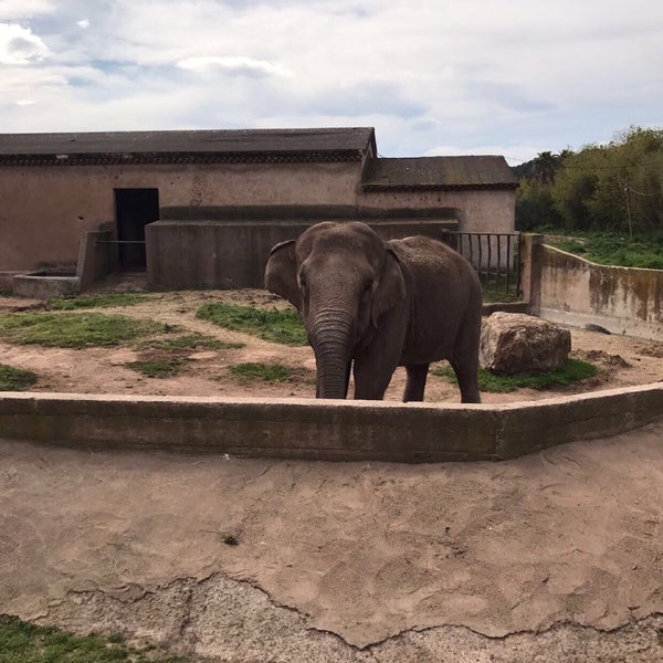 Parc Zoologique De Frejus Zoo