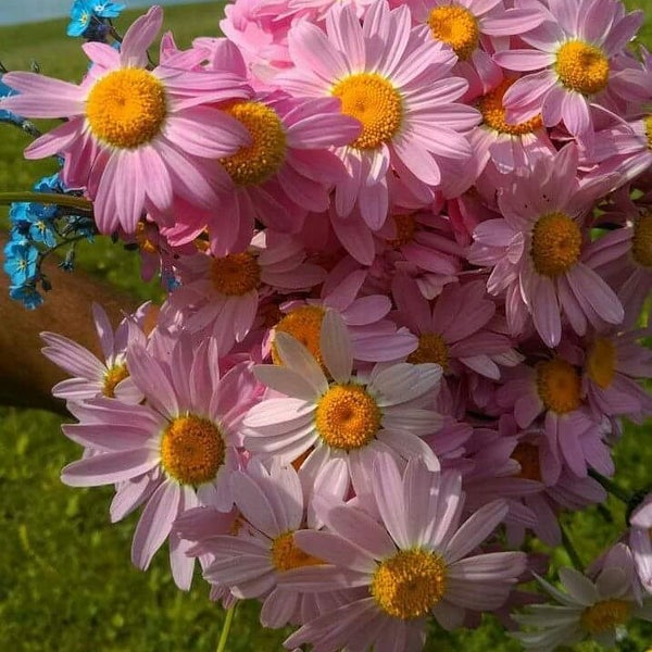 Photos At Doga Tourism Travel Agency Tourist Information Center