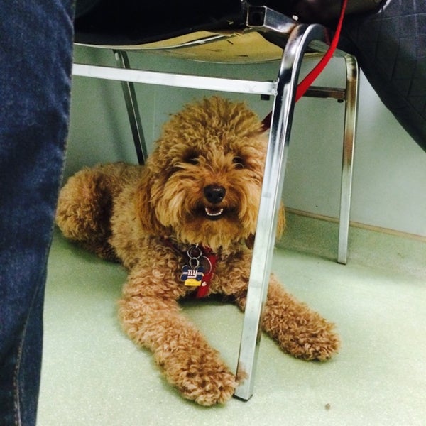 Foto tirada no(a) West Village Veterinary Hospital por Ashley E. em 3/15/2014