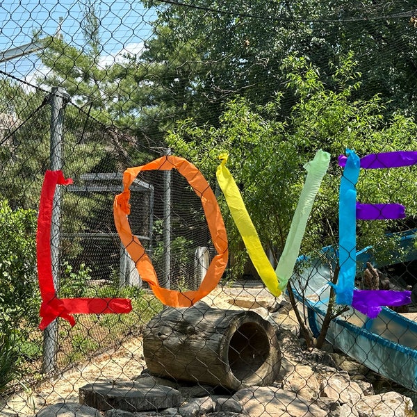 6/10/2023 tarihinde AJ T.ziyaretçi tarafından Philadelphia Zoo'de çekilen fotoğraf