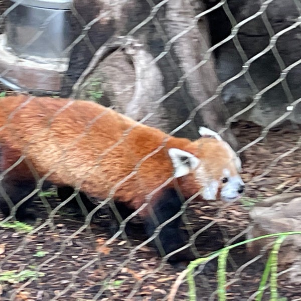 5/30/2021 tarihinde AJ T.ziyaretçi tarafından Philadelphia Zoo'de çekilen fotoğraf