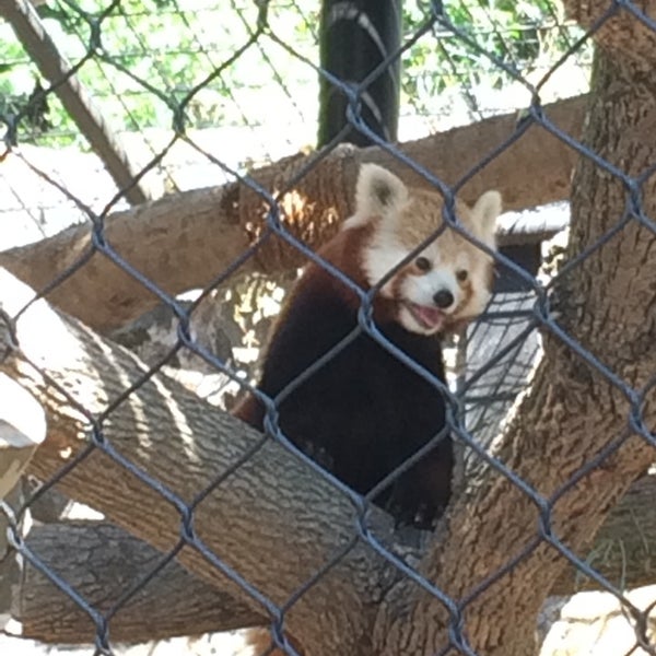 Foto diambil di Brandywine Zoo oleh AJ T. pada 6/29/2014
