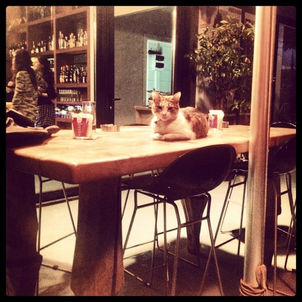 3/27/2013にBuketがPopup Kafeで撮った写真