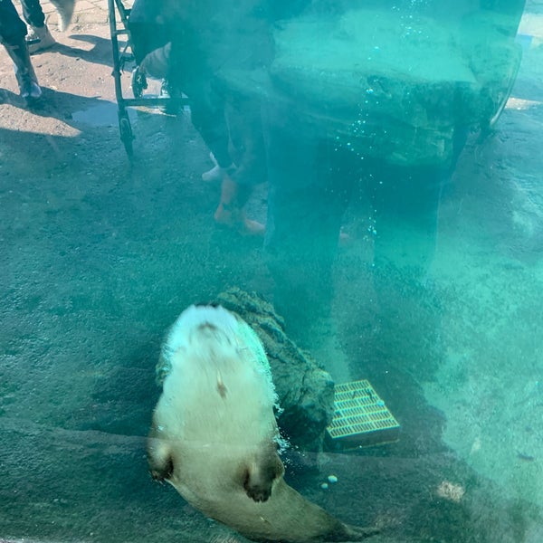 Снимок сделан в Long Island Aquarium &amp; Exhibition Center (Atlantis Marine World) пользователем Chris S. 2/21/2019
