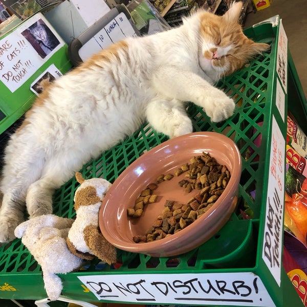Sego Nursery Flower Store in Valley Village