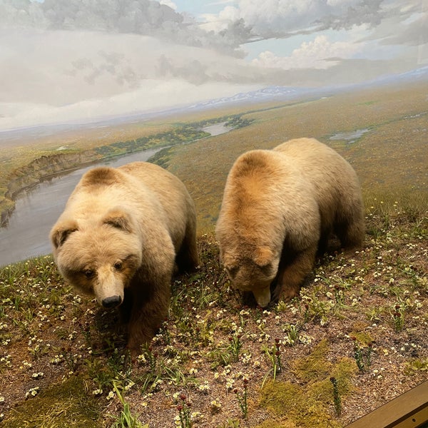 Das Foto wurde bei Denver Museum of Nature and Science von taro k. am 8/25/2020 aufgenommen