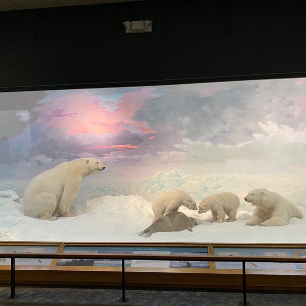 Foto diambil di Denver Museum of Nature and Science oleh taro k. pada 8/25/2020