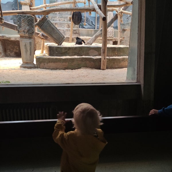 Foto diambil di Zoo Antwerpen oleh Peggy v. pada 8/1/2023