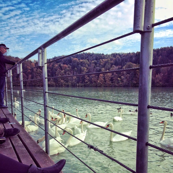 Photo taken at Zbiljsko jezero by Leunita L. on 10/17/2015