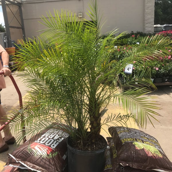 Lowe's Arlington, TX