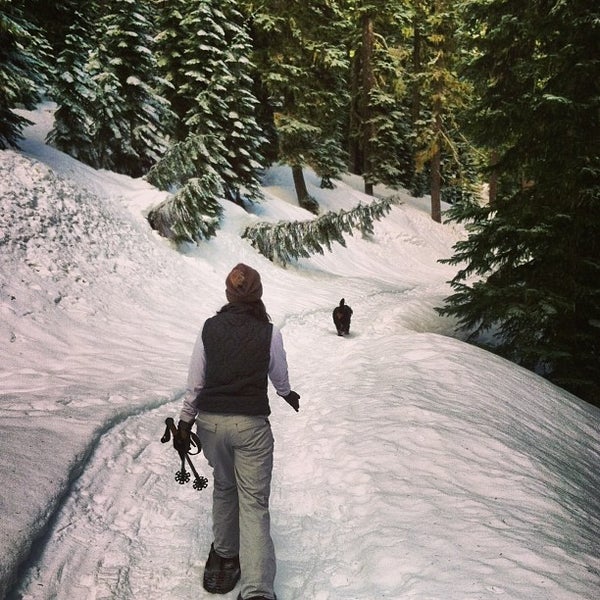 Pass SnoPark Mount Hood, OR