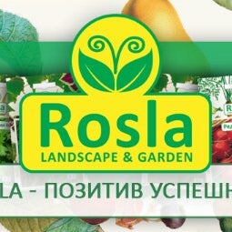 Дома Лето Интернет Магазин