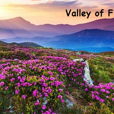 Valley Of Flowers National Park Chamoli Uttarakhand