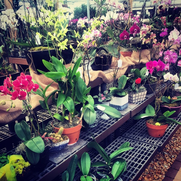 Photo taken at Atlantic Avenue Orchid &amp; Garden by Anna W. on 2/5/2015