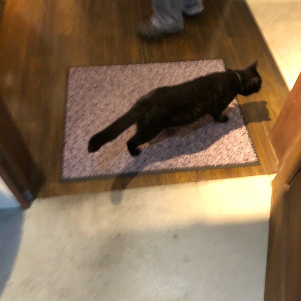 晴レカフェ 鵜の森1 2 12 晴レカフェ 鵜の森1 2 12