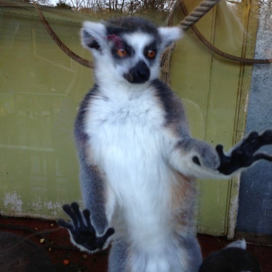 รูปภาพถ่ายที่ Hertfordshire Zoo โดย Karen W. เมื่อ 12/16/2012