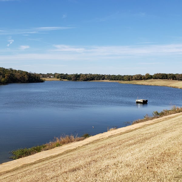 Waterloo Lake 2 tips