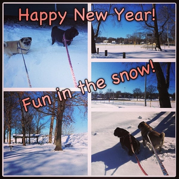 Williamson Park Morrisville 1 tip