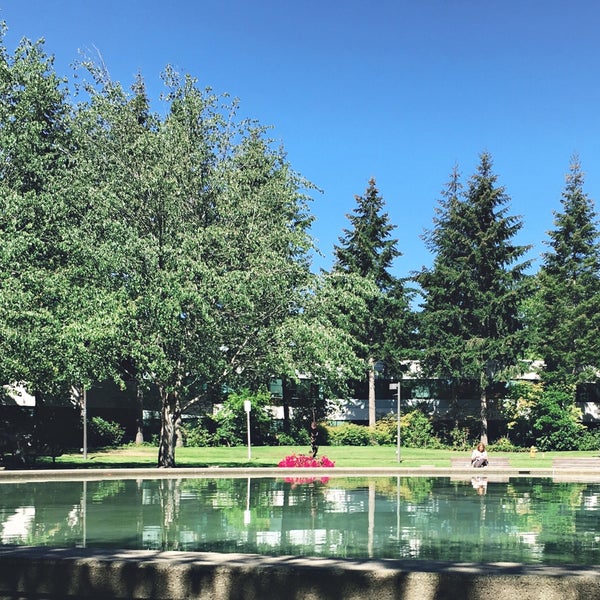 Microsoft Fountain (behind Building 9) (Now Closed) Overlake