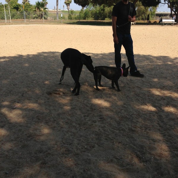 Photos at Orange Dog Park 23 tips from 555 visitors