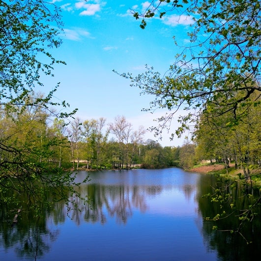 Photo taken at Парк-отель «Воздвиженское» by Парк-отель «Воздвиженское» on 8/14/2014