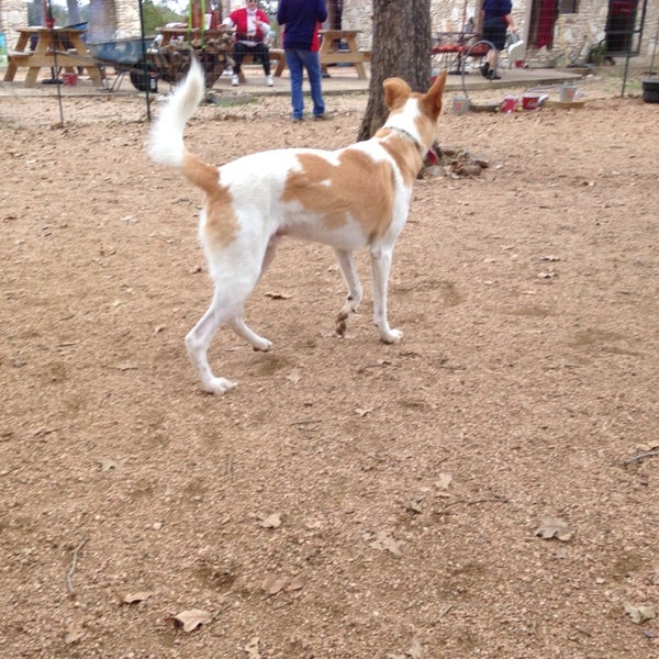 11/30/2013にMelissa S.がDog House Drinkery Dog Parkで撮った写真
