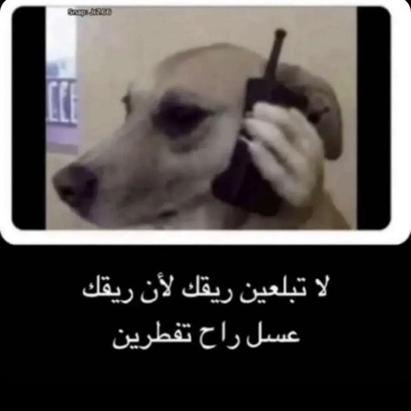 Maintenance Shaker Collection Center Distribution Center in النخيل