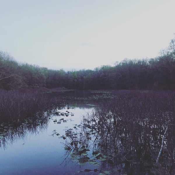 Снимок сделан в Tenafly Nature Center пользователем Hani B. 4/29/2017