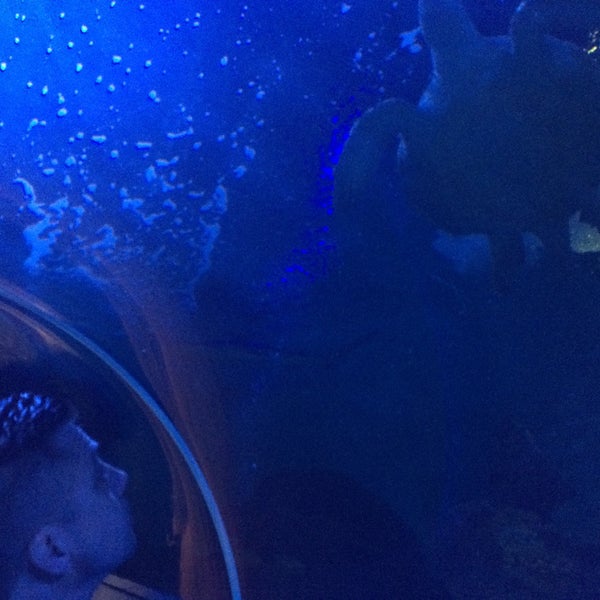 Photo taken at Sea Life by Kelly L. on 3/15/2016