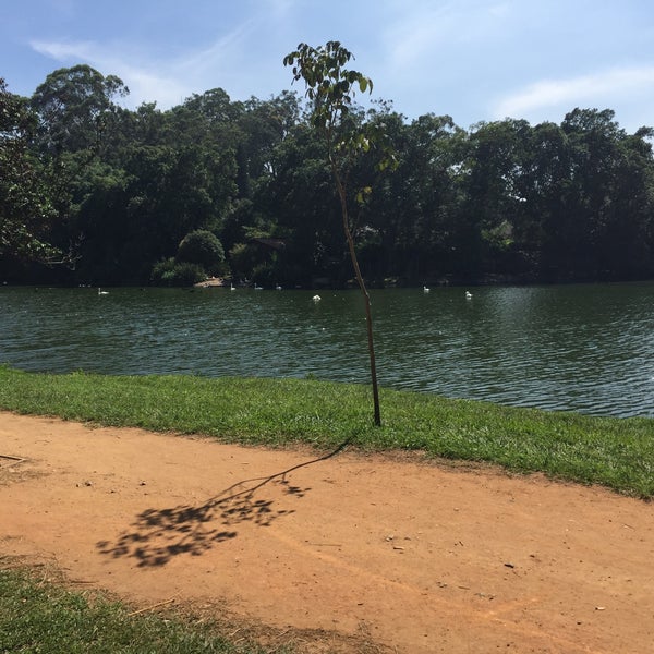 Photo taken at Ibirapuera Park by Silvia F. on 1/6/2016