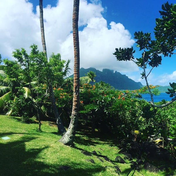 Photo prise au Conrad Bora Bora Nui par Alejandra Z. le4/5/2016