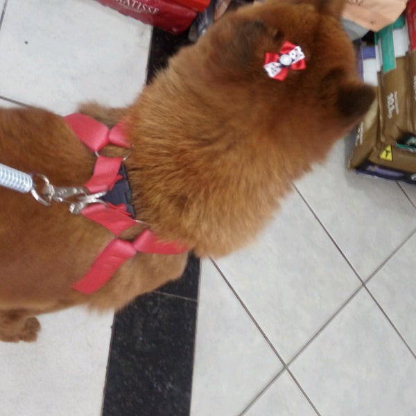 RN Pet - Pet Store in Lagoa Nova RN Pet - Pet Store in Lagoa Nova
