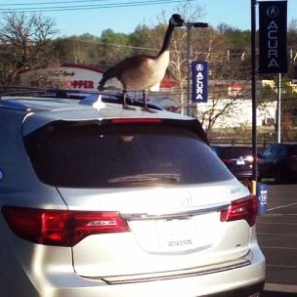 Jay Wolfe Acura Auto Dealership