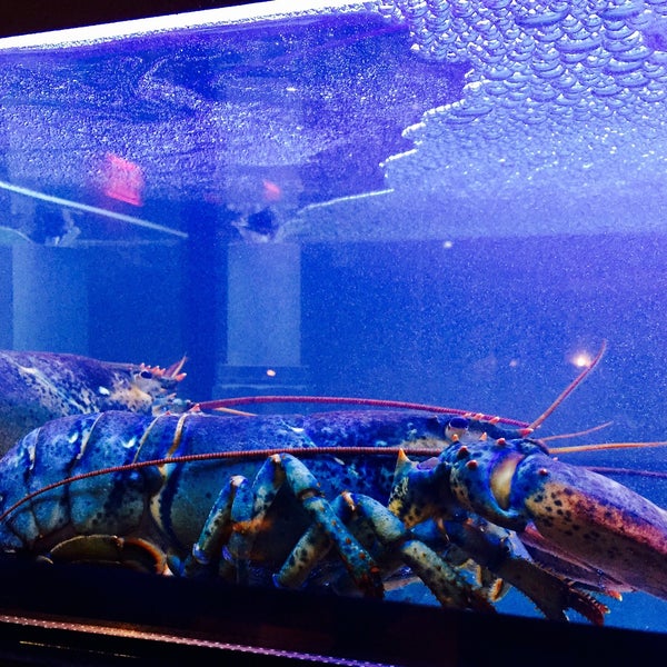 Foto scattata a Burger &amp; Lobster da Terricka B. il 1/30/2015