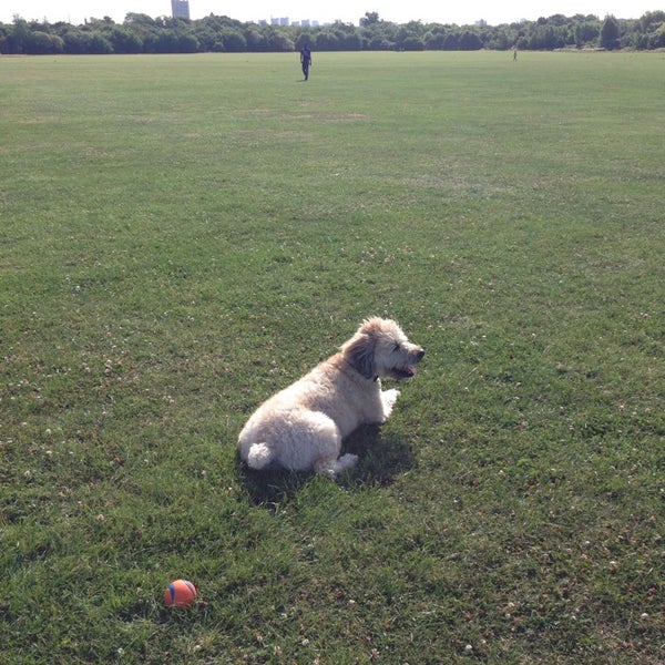 Wormwood Scrubs Local Nature Reserve College Park and Old Oak 1 tip