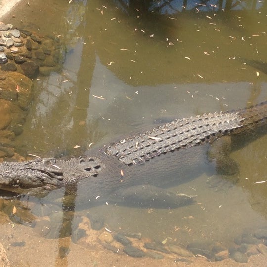 RainForeStation - Zoo Exhibit