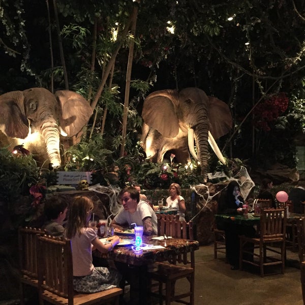 10/31/2015 tarihinde Carol S.ziyaretçi tarafından Rainforest Cafe Dubai'de çekilen fotoğraf