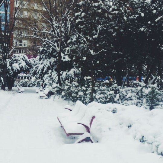 Photos A Ankara Universitesi Cebeci Kampusu Cankaya Ankara Ankara